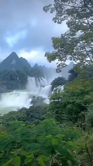 大人万万不可